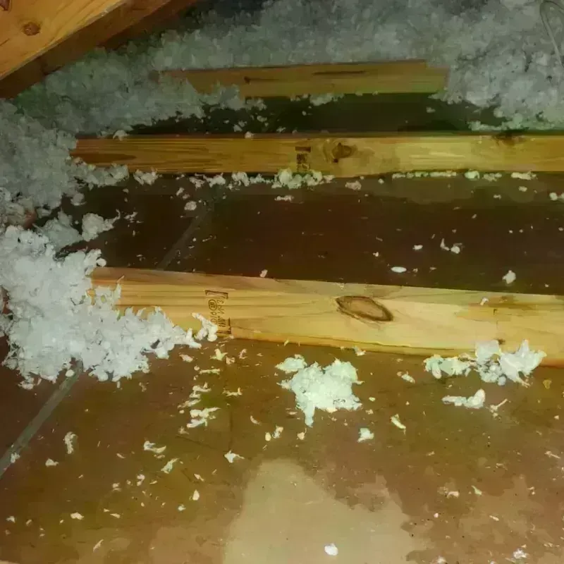 Attic Water Damage in Arroyo Seco, NM